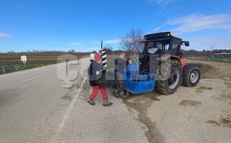 Toprağa emek, çocuklara gelecek: Karı-koca dört mevsim tarlada çalışıyor