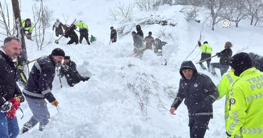 Van'da çığ düştü. Arama çalışmalarından görüntüler