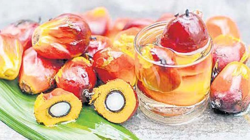 Palm yağına sıkı denetim