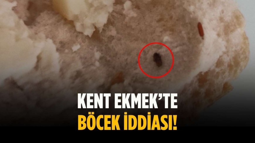 Kent Ekmek’te böcek iddiası!