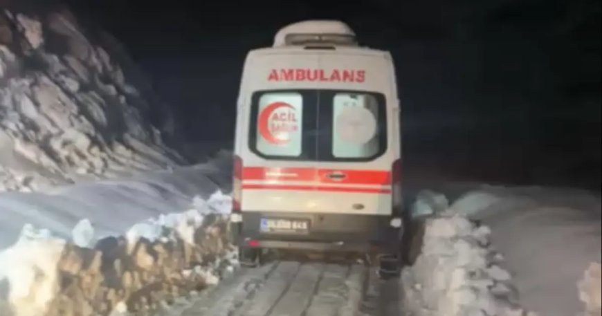 Hakkari'de sobadan sızan gaz aileyi hastanelik etti