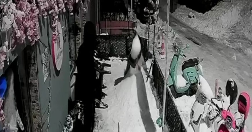 Kardan adamı dövdüler. "Bana çarptı" deyince arkadaşı tekme tokat parçaladı