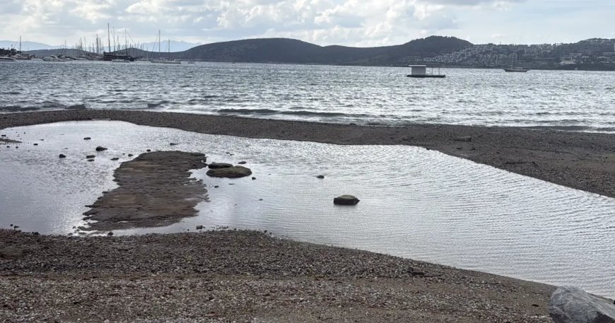 Bodrum sahilinde korkutan görüntü