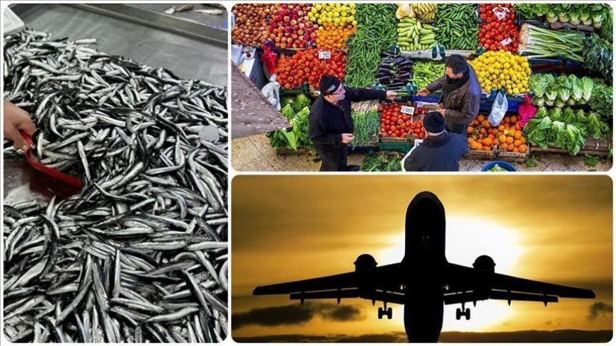 Aralık 2025'te fiyatı en çok düşen 'hava yoluyla yolcu taşımacılığı' oldu