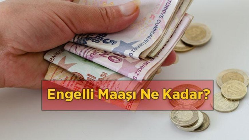 2026 Engelli Maaşı Ne Kadar? Engelli Aylığı Başvuru Şartları Nelerdir?