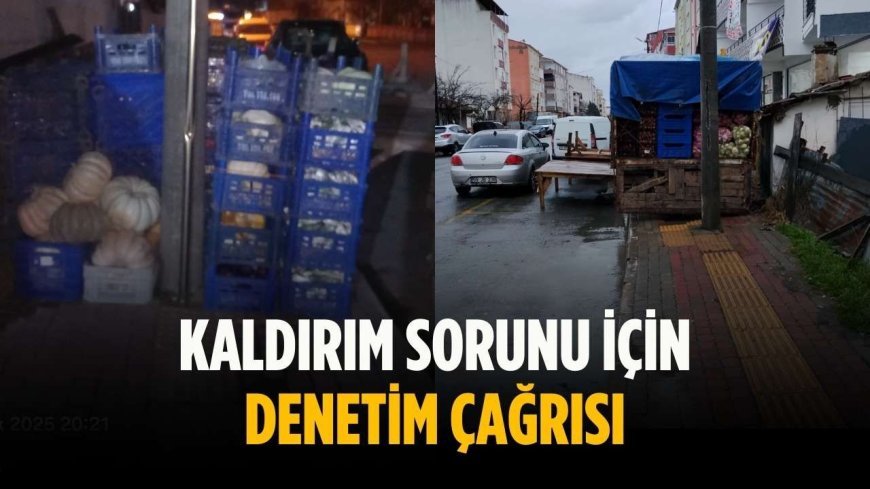Kaldırım sorunu için denetim çağrısı