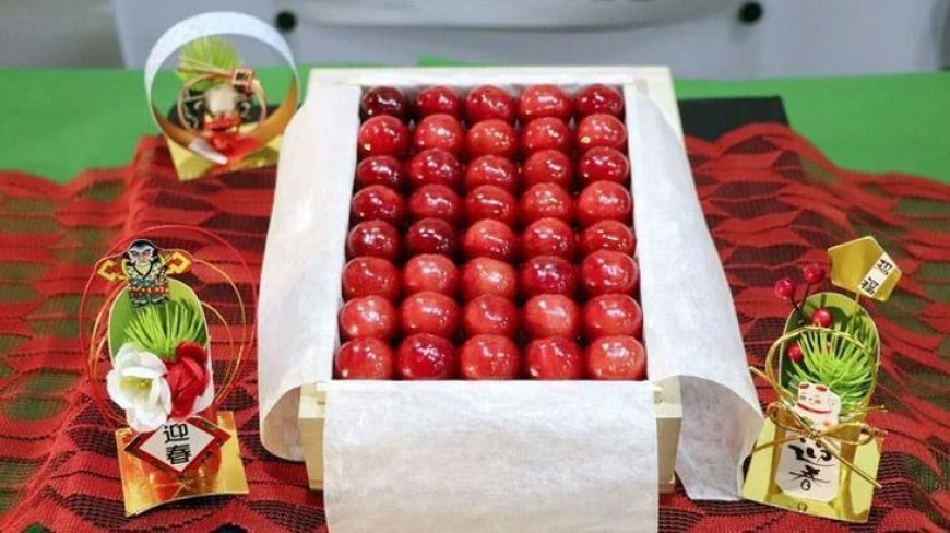 Yılın ilk kirazı tanesi 7 bin TL