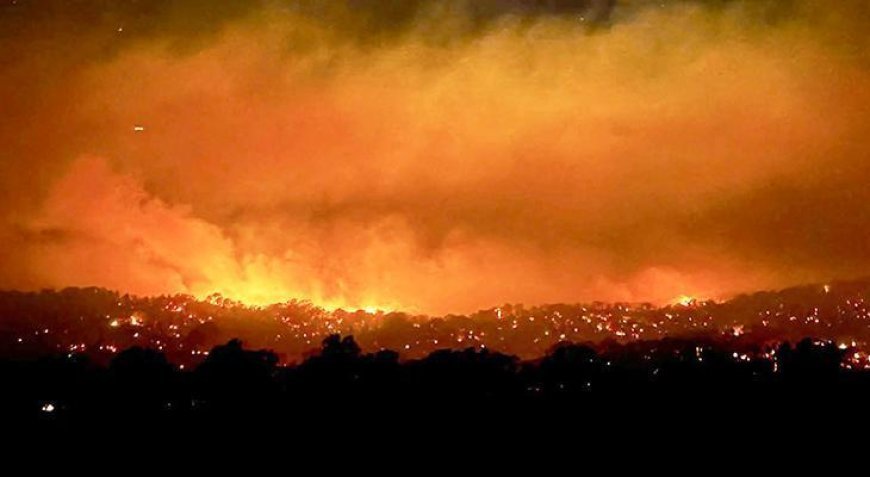Avustralya alevlere teslim! 300 bin hektarlık alan yandı, 130 ev kül oldu