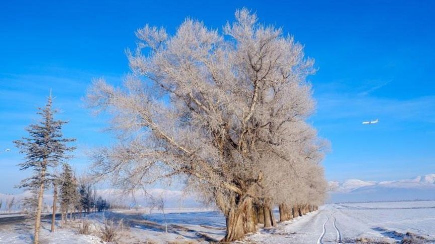 Sibirya soğukları geri döndü: Bir kent eksi 27,5 ile rekor kırdı