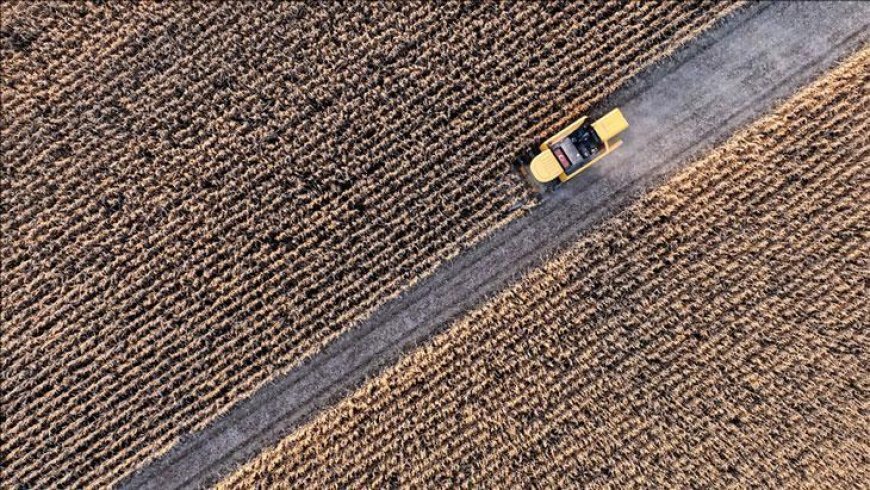 Tarımsal girdi fiyat endeksi yükseldi
