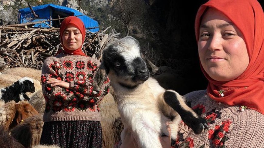 Hollandalılar hayatını izliyor! Hayvanları otlatırken üniversiteyi kazandı: Genimizde var