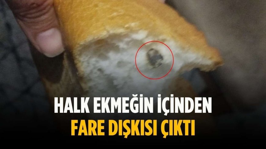 Halk ekmeğin içinden fare dışkısı çıktı