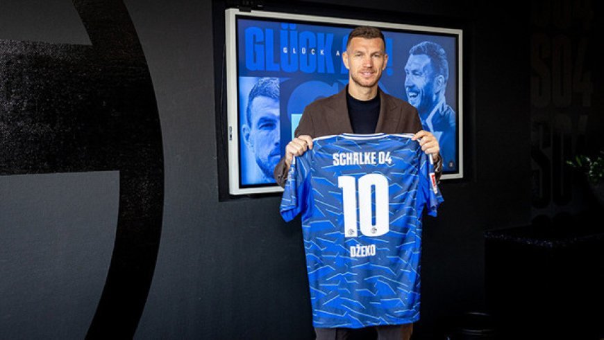 Edin Dzeko Schalke'de!