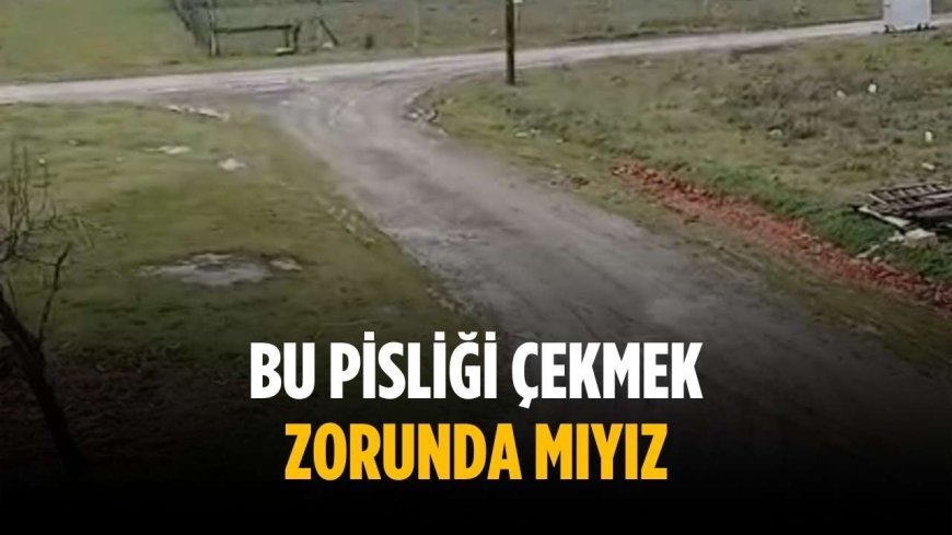 “Bu pisliği çekmek zorunda mıyız”