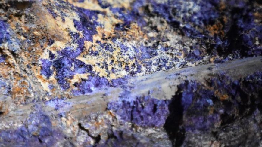 Savunma sanayii, elektrikli araç, rüzgar enerjisi... Gizli hazine: İl il ortaya çıktı