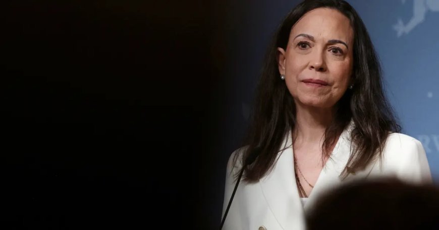 Nobel'de dijital casusluk: Kazanan ismi bahisçilere kim sızdırdı?