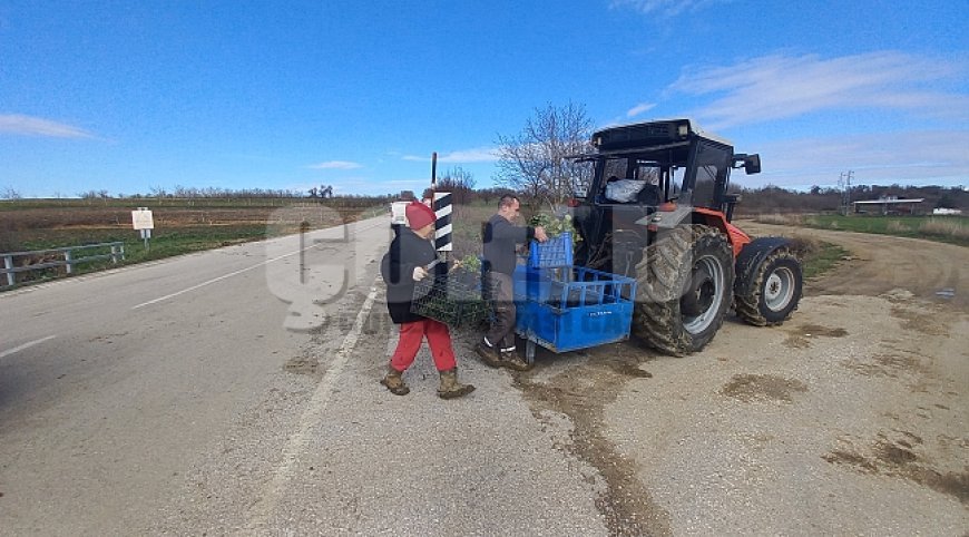 Toprağa emek, çocuklara gelecek: Karı-koca dört mevsim tarlada çalışıyor