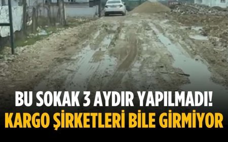 Bu sokak 3 aydır yapılmadı! Kargo şirketleri bile girmiyor
