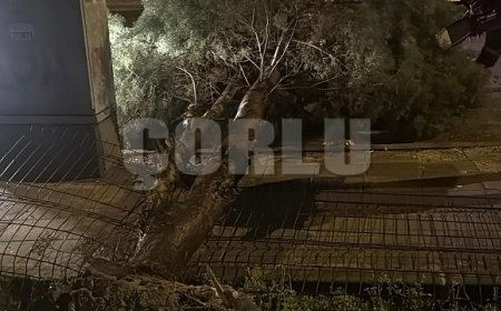Çorlu Belediyesi Fırtınaya Karşı Teyakkuza Geçti
