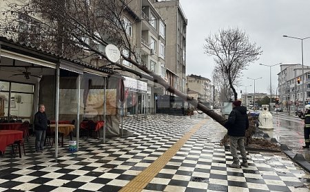 Muratlı’da ağaç kahvehanenin çatısına devrildi