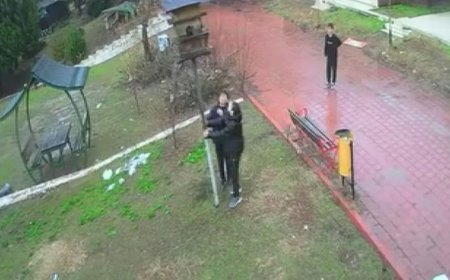 Adana'da kuş yuvasını parçalayan çocuklara ev hapsi