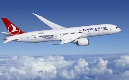 Havada panik anları. THY uçağı acil iniş yaptı