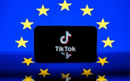 AB'den TikTok'a Epstein soruşturması