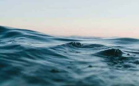 Örümcekten ilham alındı. Suda batmayan metal geliştirildi