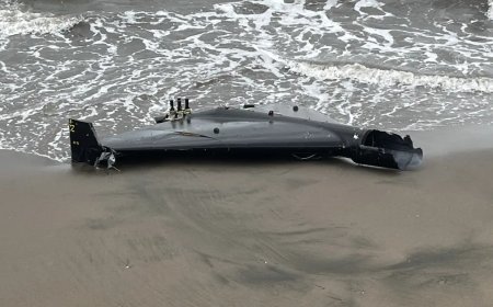 Ekipler harekete geçti. İstanbul, Ankara, Kocaeli ve Balıkesir'den sonra Ordu'da da İHA bulundu