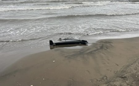 Ordu'da sahilde insansız hava aracı parçası bulundu