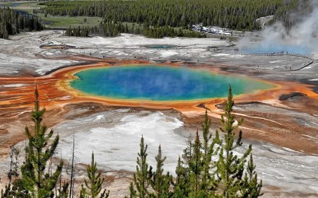 Depremler mikrobiyal patlamaya neden oluyor.. Deprem sürüsünde mikrobiyal yaşam 6,5 kat arttı