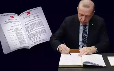 SON DAKİKA! Cumhurbaşkanlığı atamaları Resmi Gazete’de