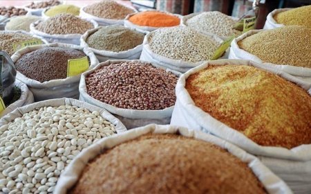 Güneydoğu Anadolu'dan 279,9 milyon dolarlık hububat ihracatı yapıldı