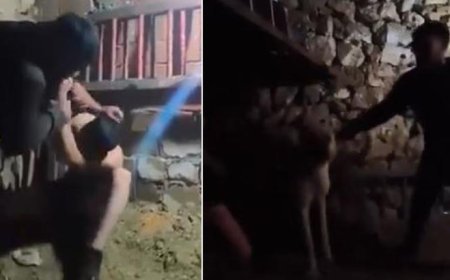 Mardin'de ahırda çocuğa işkence! Anne isyan etti