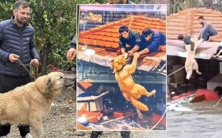 Paşa'yı canı pahasına korudu, o anları anlattı: Kaysam da yine tutardım