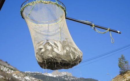 Denizi olmayan şehrin alabalıkları, yurtdışı pazarlarına gönderiliyor