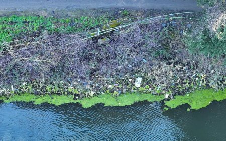 Elmalı Barajı'nın kıyısında çöp yığını