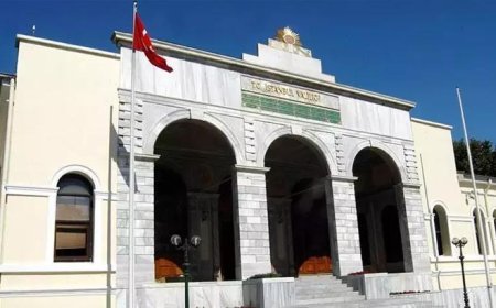 İstanbul Valiliği'nden 'Kuduz Vakaları' iddialarına yalanlama