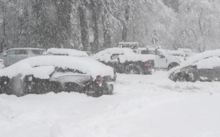 ABD'de 40 milyondan fazla kişi kar fırtınası uyarısıyla karşı karşıya