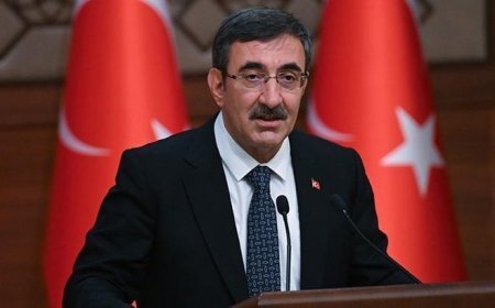 Cumhurbaşkanı Yardımcısı Yılmaz'dan uçak kazasında şehit olan pilot için başsağlığı mesajı