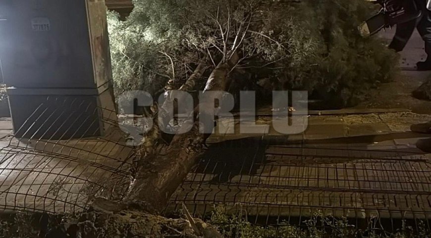 Çorlu Belediyesi Fırtınaya Karşı Teyakkuza Geçti