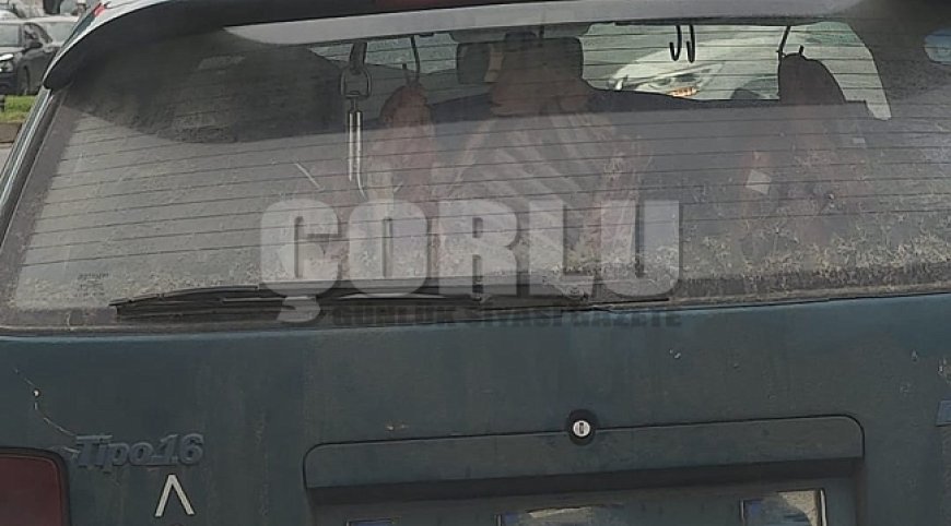 Çorlu’da Pes Dedirten Görüntü! Etler Böyle Taşındı