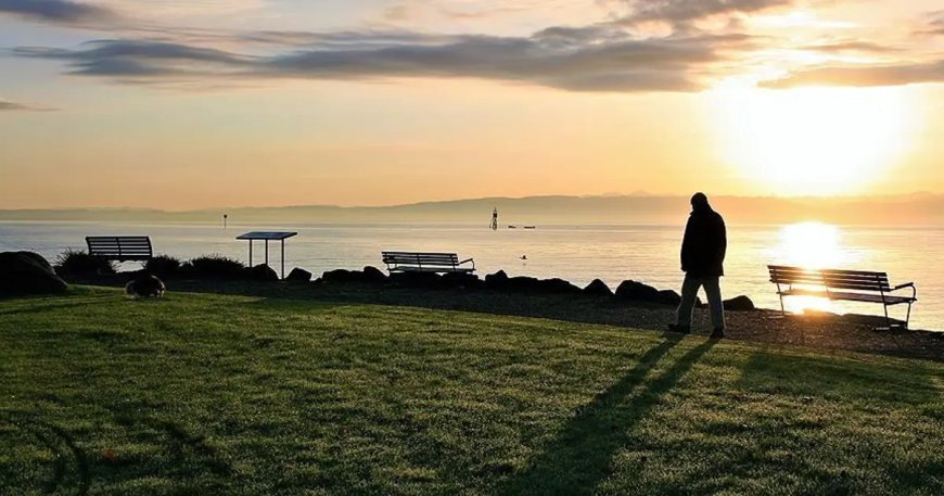 En yalnız meslekler belli oldu: 14 saati yalnız geçiriyorlar