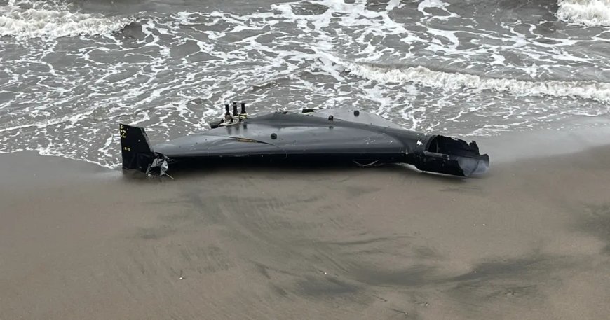 Ekipler harekete geçti. İstanbul, Ankara, Kocaeli ve Balıkesir'den sonra Ordu'da da İHA bulundu