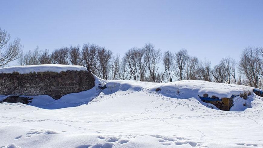 Kar geri geldi! Birçok kent beyaza büründü