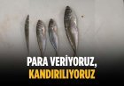 “Para veriyoruz, kandırılıyoruz”