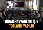 Sokak hayvanları için toplantı yapıldı