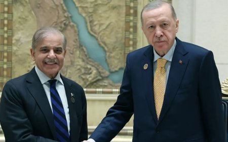 Cumhurbaşkanı Erdoğan, Pakistan Başbakanı Şahbaz Şerif ile görüştü