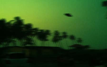 UFO teorilerine konu olan emekli ABD generali gizemli şekilde kayboldu