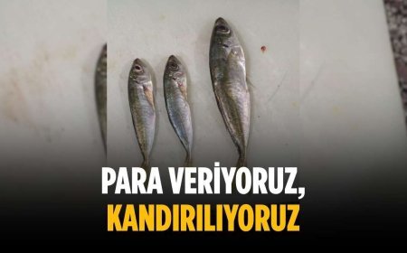 “Para veriyoruz, kandırılıyoruz”